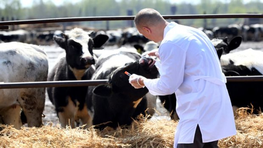 Le syndicat des vétérinaires publics suspend son mouvement de protestation
