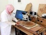 Un laboratoire de dendrochronologie pour l'université de Batna