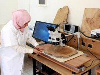 Un laboratoire de dendrochronologie pour l'université de Batna