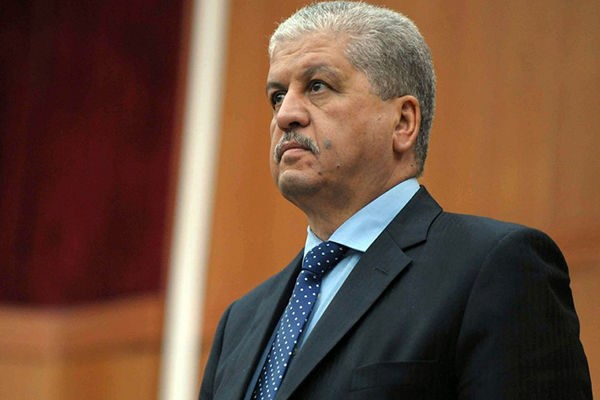 سلال يعود إلى معسكر دون أن يجدها كاليفورنيا !