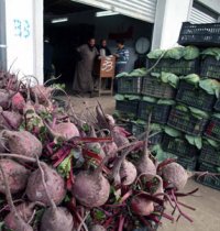 Quelque 1.000 emplois prévus au marché de gros de fruits et légumes