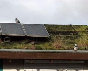 Royaume uni, une école classée réserve naturelle