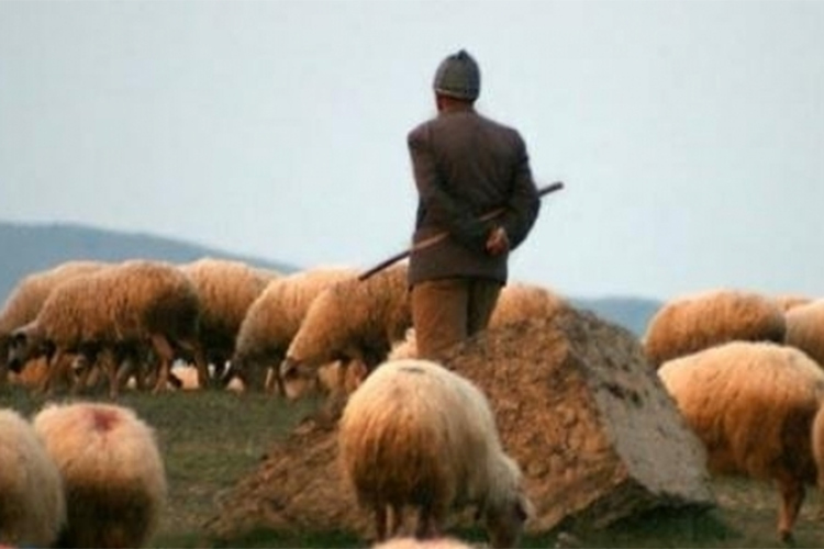 عصابة تقتل موّالا بالرصاص وتستولي‮ ‬على بندقية و170‮ ‬مليون بالجلفة