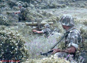 القضاء على إرهابيين اثنين بولاية تيزي وزو