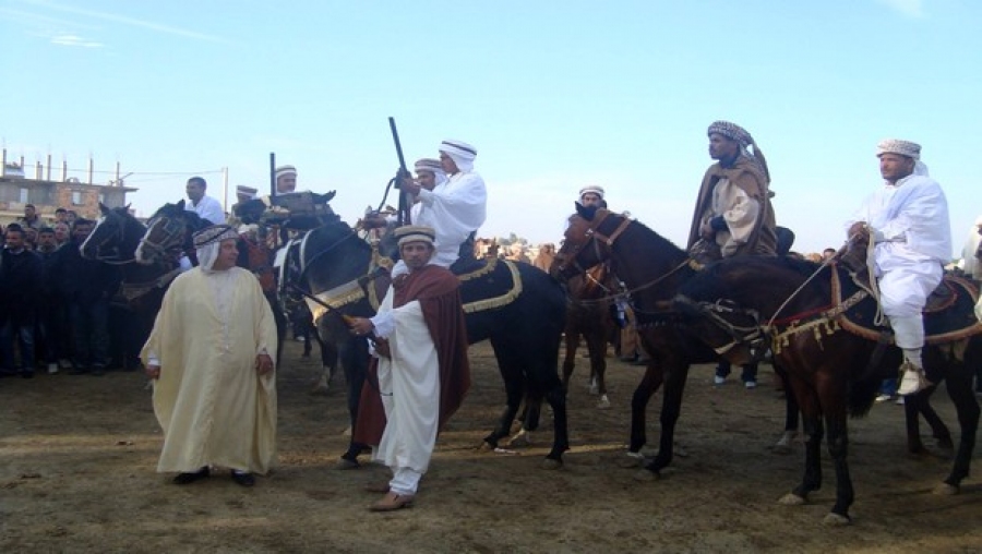 Le club d'équitation de M'sila entend faire renaître l'élevage équin dans le Hodna