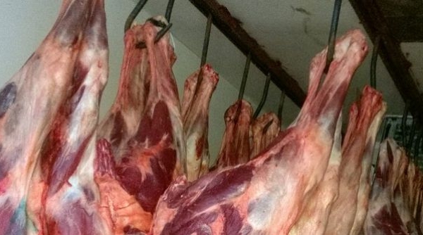 رافعات السيارات لذبح الأبقار والمواشي بوهران