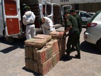 550 tonnes de cannabis saisies en trois ans par les services de sécurité