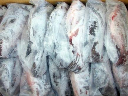 استيراد أزيد من 3 آلاف طن من الأسماك المجمدة يخفض أسعار السردين بوهران