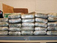 65 quintaux de drogue saisis en 3 mois à Tlemcen