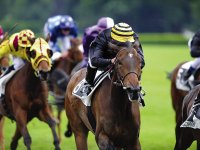 CONFORME A LA LOGIQUE