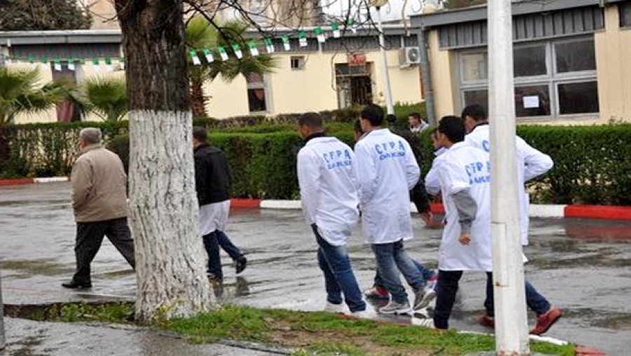 Formation professionnelle