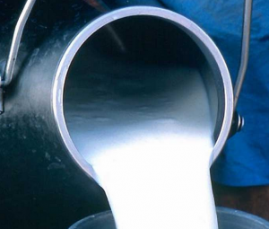 جمع حوالي 11 مليون لتر من حليب البقر ببومرداس