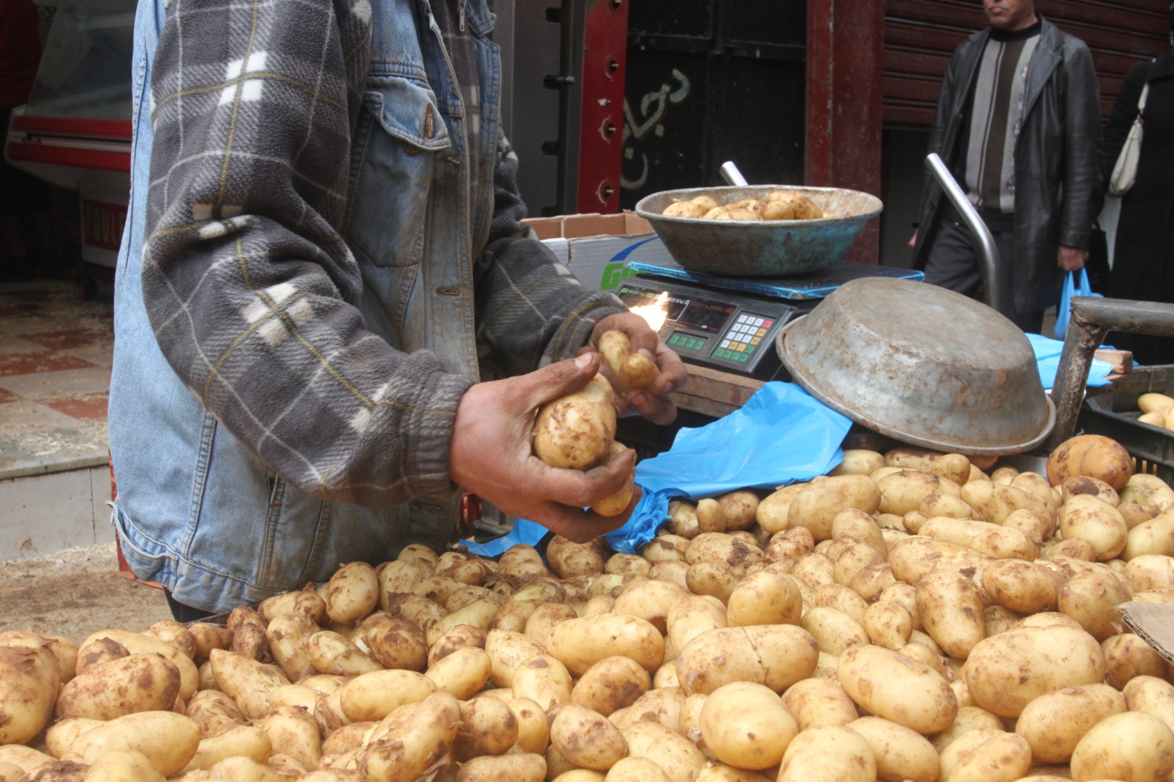 البطاطا بوفرة بأسواق وهران