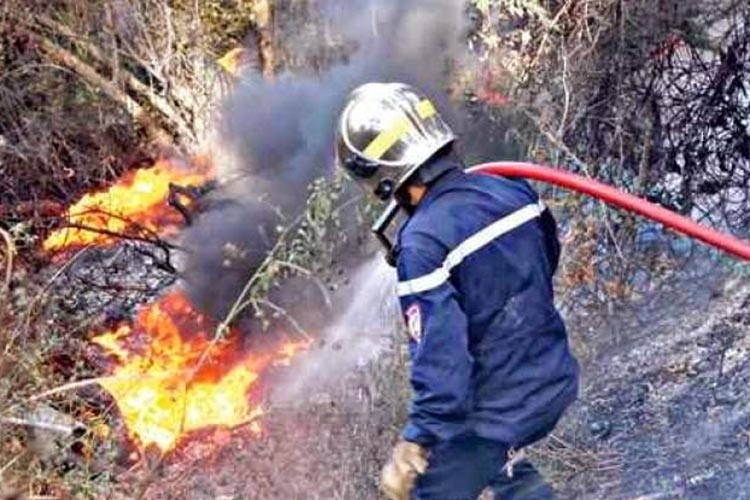 النيران تحاصر ولاية تيزي وزو وإصابة أربعة مواطنين بحروق