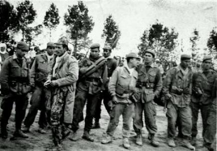 مشروع إنجاز أفلام وثائقية حول شهداء المنطقة السابعة بتيارت