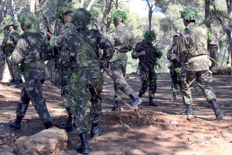 قوات الجيش تمشط المناطق الحدودية بين البويرة وتيزي وزو