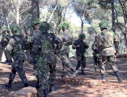 القضاء على إرهابي بالبويرة وتوقيف آخر بسكيكدة