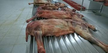 حجز 200 كلغ من اللحوم تباع بطريقة غير شرعية خلال رمضان بسيدي بلعباس