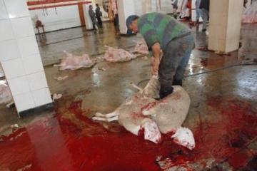 تسجيل 110 تدخلا و إحصاء 19 مذبح غير شرعي بعين الترك في وهران