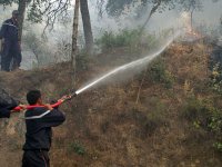 13 incendies de forêt enregistrés