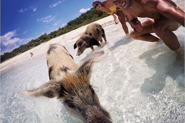 Harry Kane profite de ses derniers jours de vacances aux Bahamas