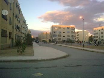 قرية الزيتون في المسيلة .. بمؤهلات بلدية في إنتضار الترقية