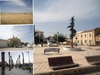 De ben badis, en passant par Tassin et Lamtar