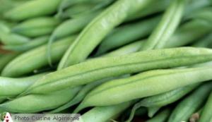 Haricot verts
