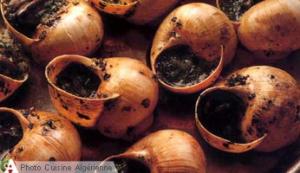 Escargots sauce blanche