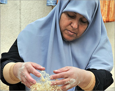 باكورة إنتاج تحت المجهر الجائزة الأولى لـ