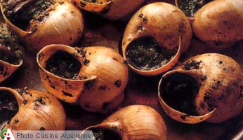 Escargots sauce blanche