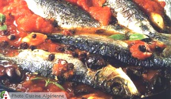 Sardines en sauce tomate