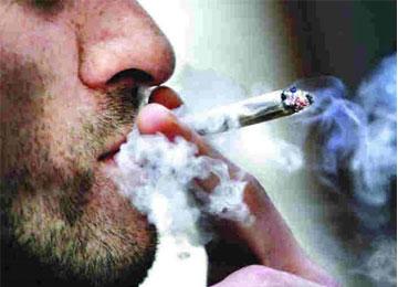 طالب جامعي من المنيعة يتاجر بالقنب الهندي و بذوره بالعاصمة