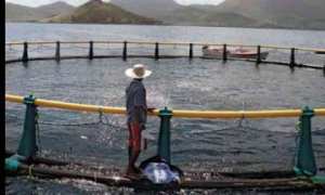 وفد من منظمة الزراعة و التغذية للأمم المتحد بعين تموشنت