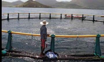 وفد من منظمة الزراعة و التغذية للأمم المتحد بعين تموشنت