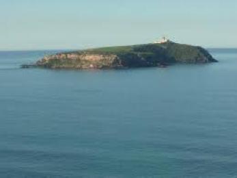 نحو تأهيل وعصرنة جزيرة رشقون بعين تموشنت