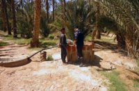 Les motopompes, un piège mortel dans les puits profonds