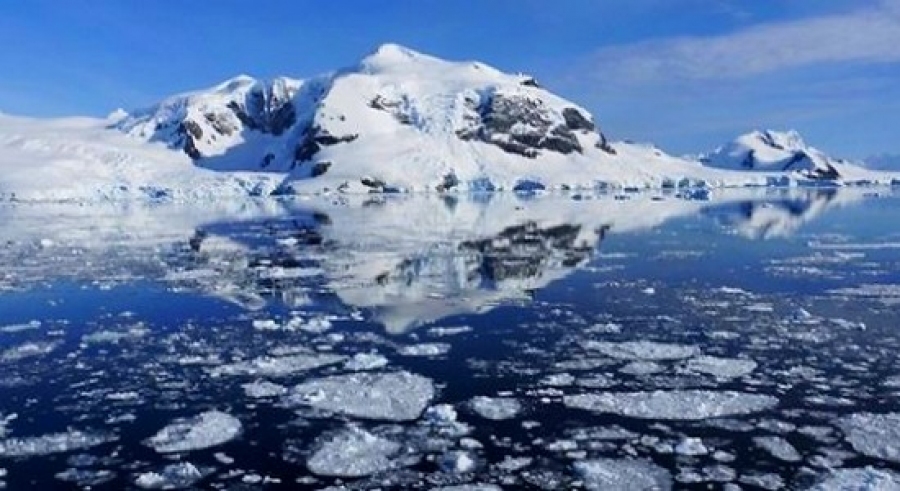 Réchauffement climatique