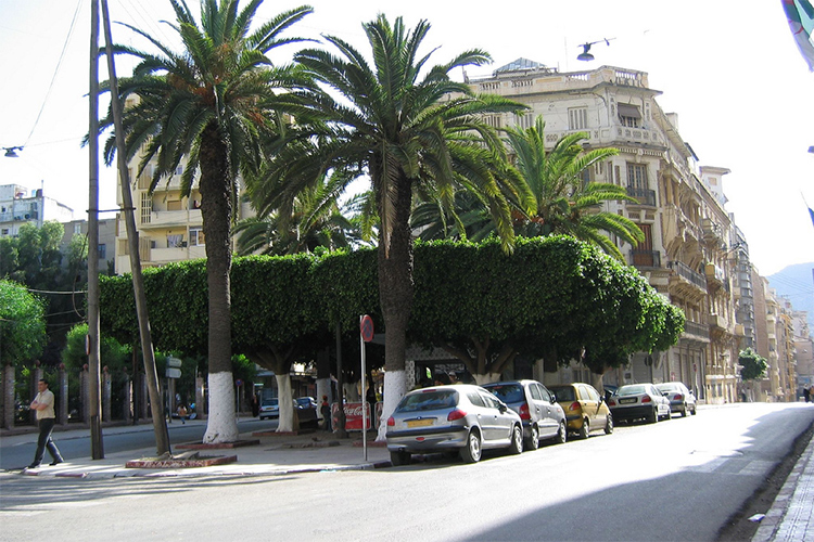 عصابة‮ ‬يقودها مغترب تسرق السيارات بوهران وتطلب فدية بآلاف اليوروهات