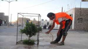 Programme  Blanche Algérie