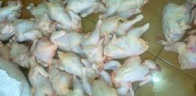 شرطة سطيف تحجز 5 قناطير من الدجاج الفاسد