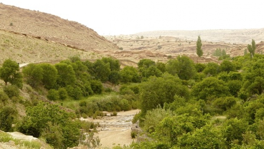 Plusieurs opérations pour impulser une nouvelle dynamique au secteur agricole à Laghouat