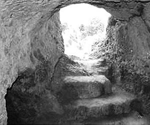 ابن خلدون بالجزائر