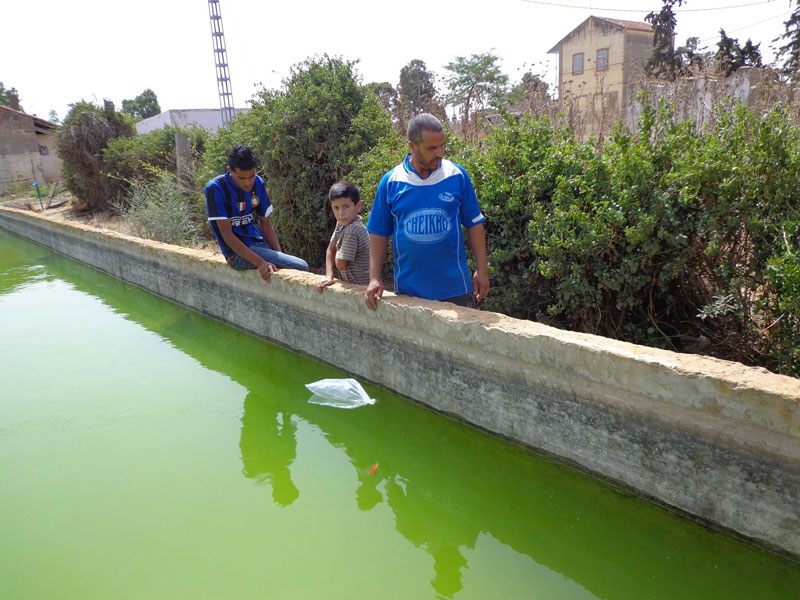 تم جلبها من ولاية سطيف