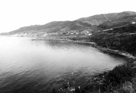 Secteur du tourisme à Béjaïa