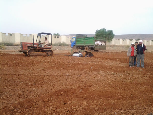 تعاونية الحبوب تستعد للموسم الفلاحي الجديد بمعسكر