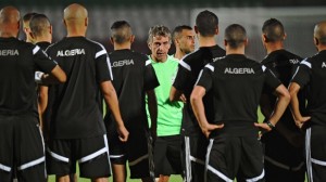 غوركوف يستدعي العرفي وبلايلي لمعسكر جنوب أفريقيا