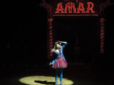 Entrez dans les coulisses du cirque Amar