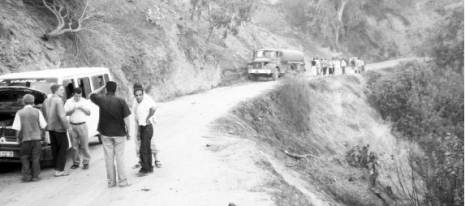 Des centaines d'arbres fruitiers ravagés par le feu