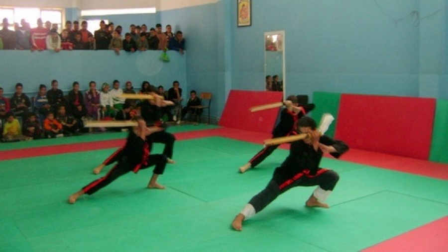 Wushu Kung Fu